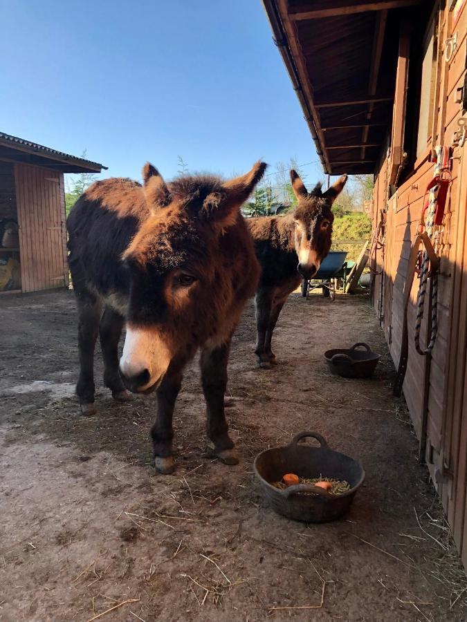 Вилла Lane House Barn Тодморден Экстерьер фото